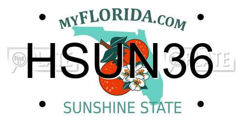 HSUN36 Florida License Plate