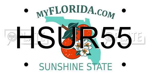 HSUR55 Florida License Plate