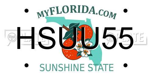 HSUU55 Florida License Plate