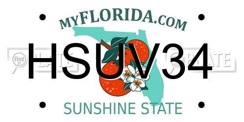 HSUV34 Florida License Plate