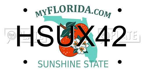 HSUX42 Florida License Plate