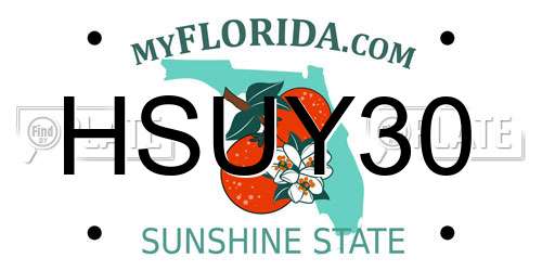 HSUY30 Florida License Plate