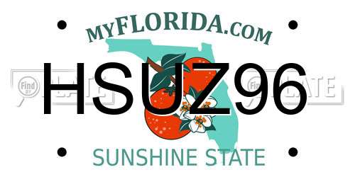 HSUZ96 Florida License Plate