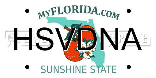 HSVDNA Florida License Plate