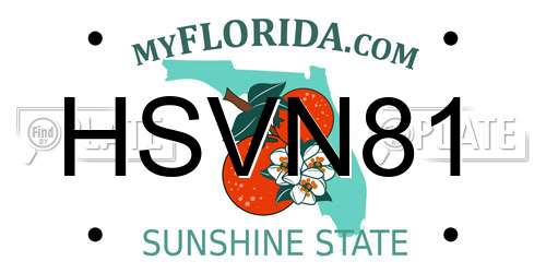 HSVN81 Florida License Plate