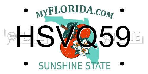 HSVQ59 Florida License Plate