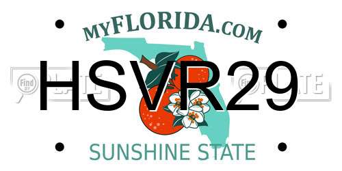 HSVR29 Florida License Plate