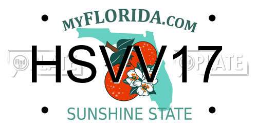 HSVV17 Florida License Plate