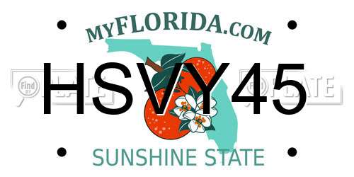 HSVY45 Florida License Plate