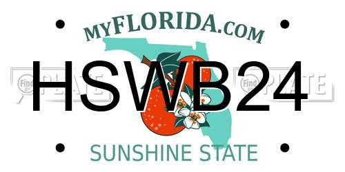 HSWB24 Florida License Plate