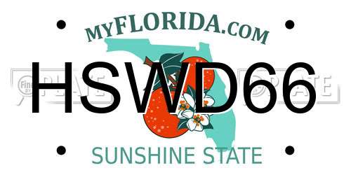 HSWD66 Florida License Plate
