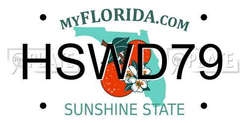 HSWD79 Florida License Plate