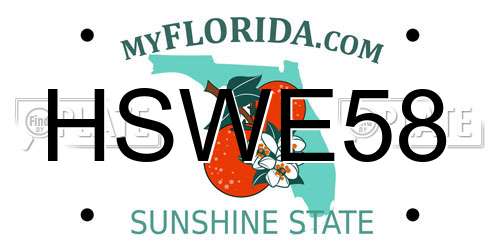 HSWE58 Florida License Plate