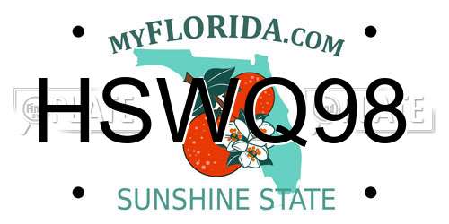 HSWQ98 Florida License Plate
