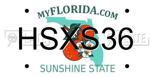 HSXS36 Florida License Plate