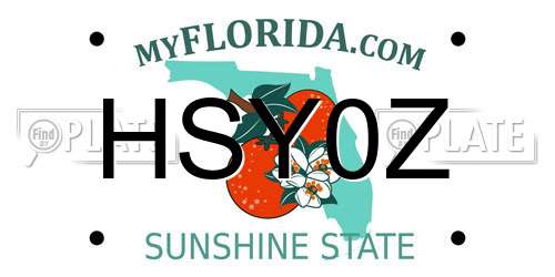 HSY0Z Florida License Plate
