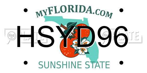 HSYD96 Florida License Plate