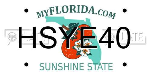 HSYE40 Florida License Plate