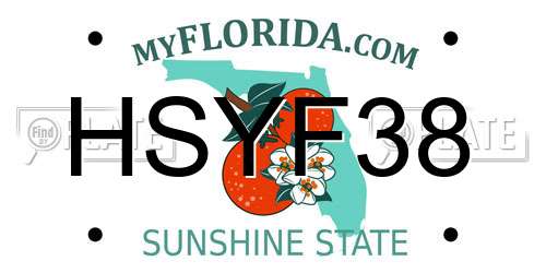 HSYF38 Florida License Plate