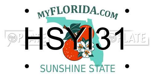 HSYI31 Florida License Plate