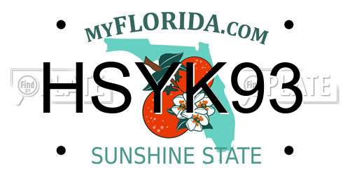 HSYK93 Florida License Plate