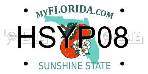 HSYP08 Florida License Plate