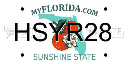 HSYR28 Florida License Plate