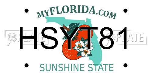 HSYT81 Florida License Plate