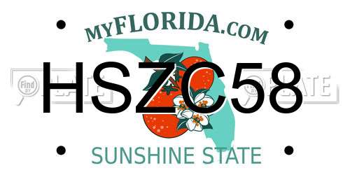 HSZC58 Florida License Plate