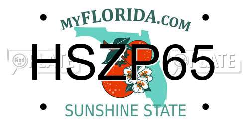 HSZP65 Florida License Plate