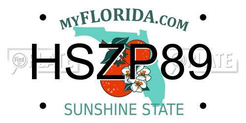 HSZP89 Florida License Plate