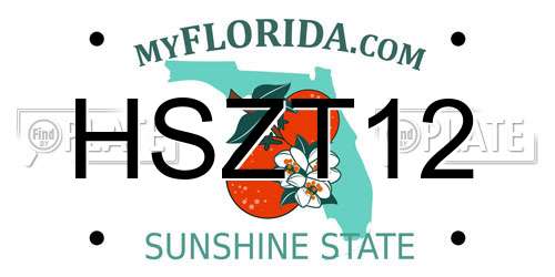 HSZT12 Florida License Plate