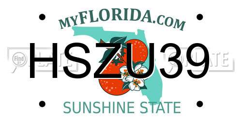 HSZU39 Florida License Plate