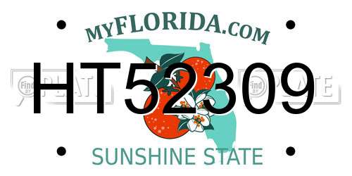 HT52309 Florida License Plate
