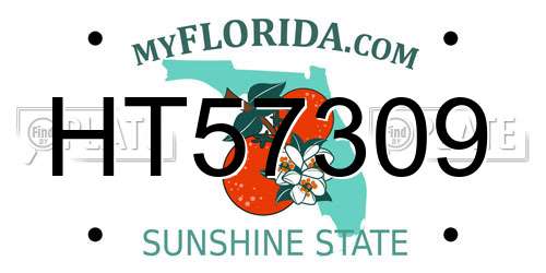 HT57309 Florida License Plate