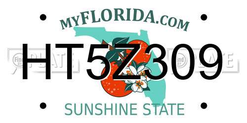 HT5Z309 Florida License Plate