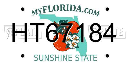 HT67184 Florida License Plate