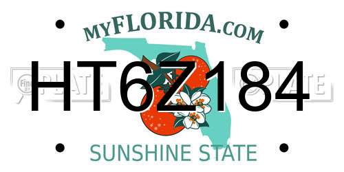 HT6Z184 Florida License Plate