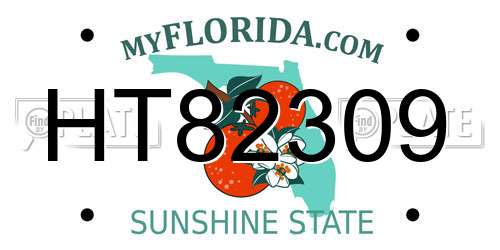 HT82309 Florida License Plate