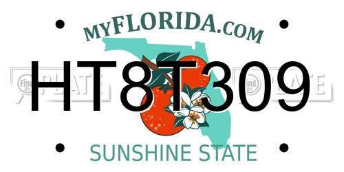 HT8T309 Florida License Plate