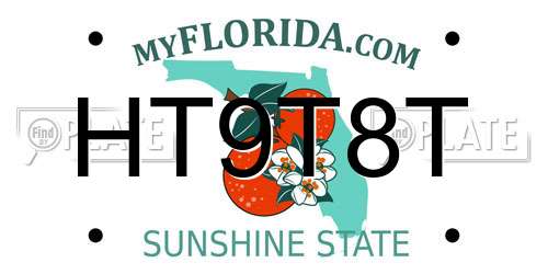 HT9T8T Florida License Plate