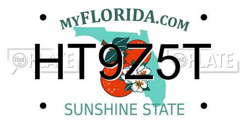 HT9Z5T Florida License Plate