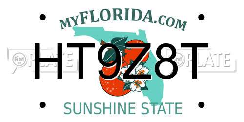 HT9Z8T Florida License Plate