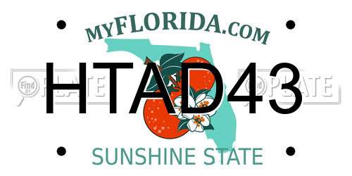 HTAD43 Florida License Plate