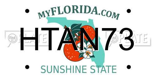 HTAN73 Florida License Plate