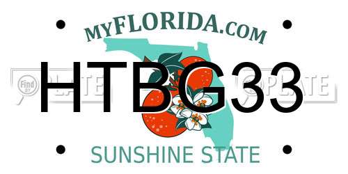 HTBG33 Florida License Plate