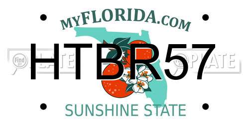 HTBR57 Florida License Plate