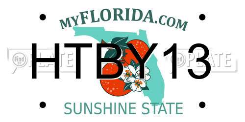 HTBY13 Florida License Plate