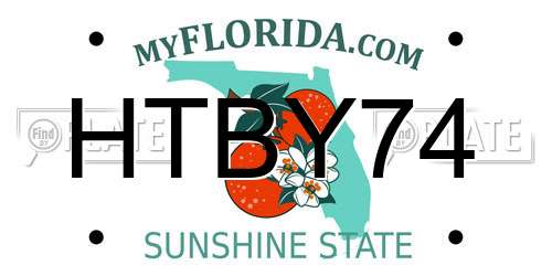 HTBY74 Florida License Plate