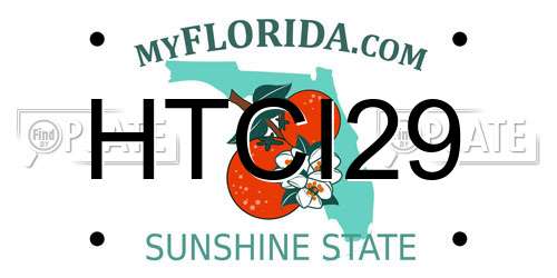 HTCI29 Florida License Plate